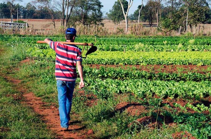 Nova lei destina recursos para projetos de ciência e tecnologia e apoio a produtores rurais