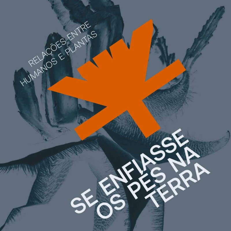 Museu Paranaense tem programação focada nas relações entre humanos e plantas