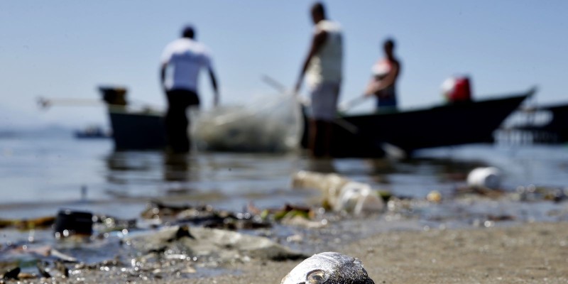 Projeto preserva cultura da pesca artesanal de mexilhões em Niterói