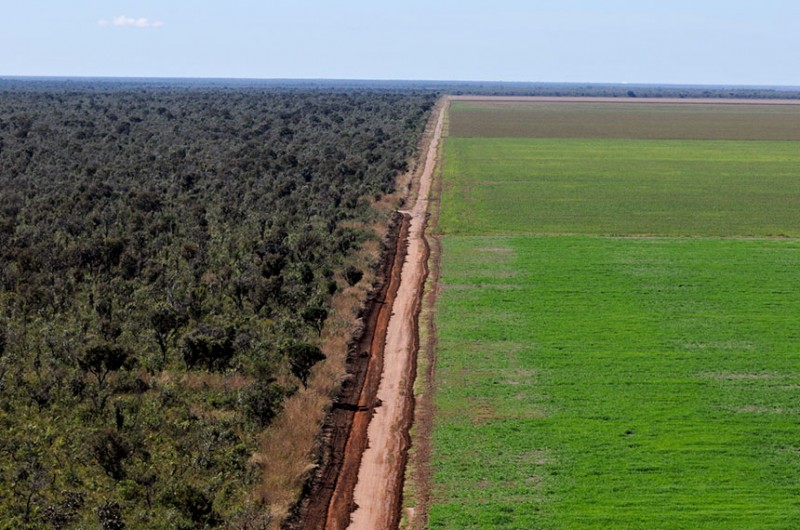 No mês do meio ambiente, licenciamento ambiental provoca debates no Senado