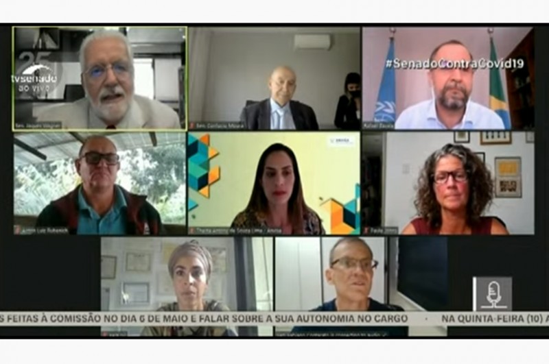 Há falsa contraposição entre meio ambiente e desenvolvimento, apontam especialistas