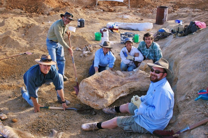 Maior dinossauro da Austrália é identificado como nova espécie