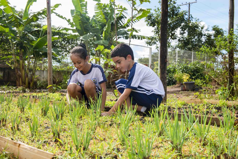 Construindo bons hábitos alimentares com cultivo de hortas nas escolas