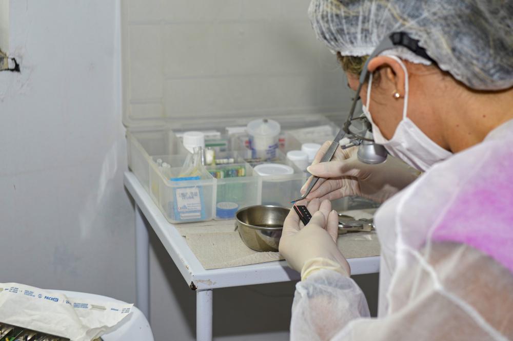 Saúde de Palmas explica fluxo de atendimento odontológico na Capital