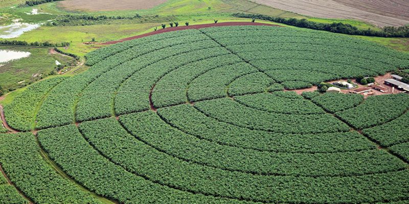 Governo fixa ações para avaliar importação de produtos agropecuários