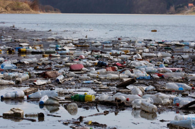 Frente Parlamentar Ambientalista debate poluição dos oceanos nesta quarta-feira