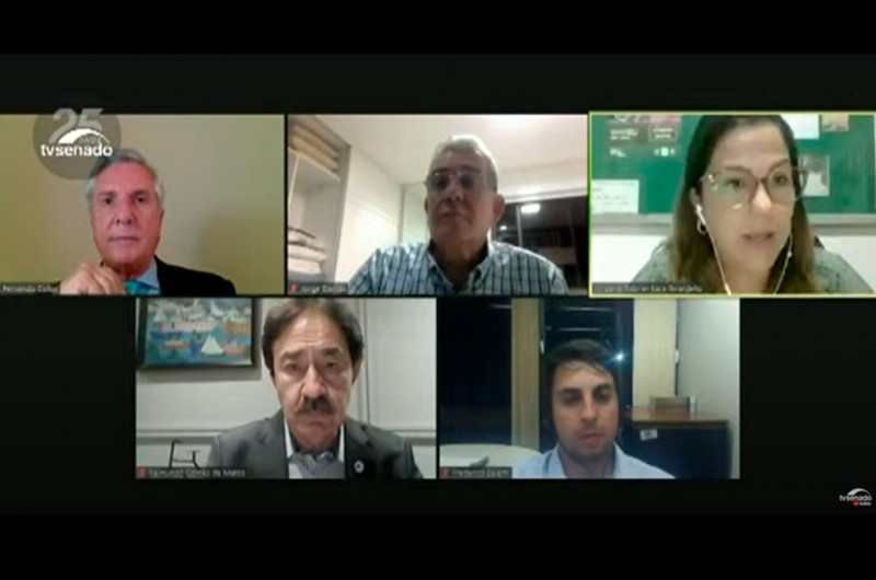 Gestão da agricultura irrigada é essencial, dizem especialistas em audiência da CDR