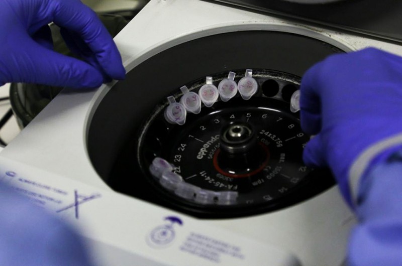 Lei permite que indústria veterinária produza vacina contra covid