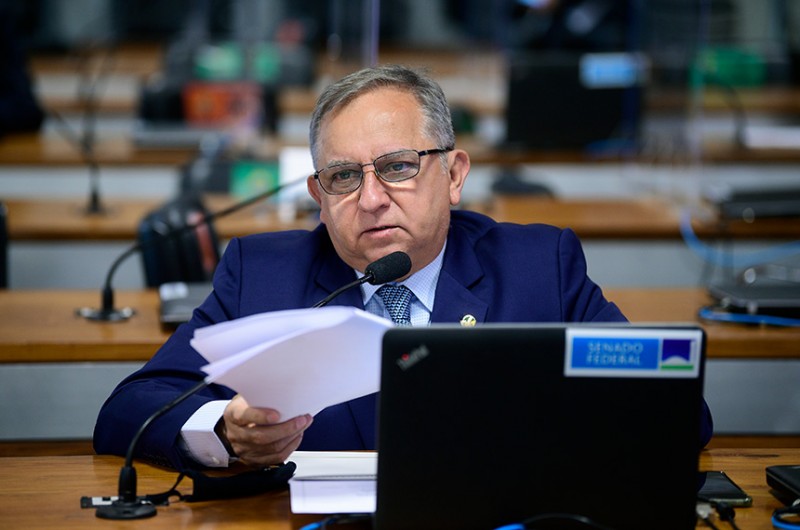 Comissão sugere ao governo políticas públicas para incentivar cultivo do babaçu