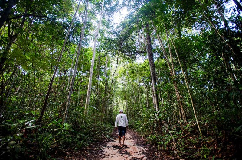 Mercado de carbono será tema de debate no Senado nesta segunda-feira