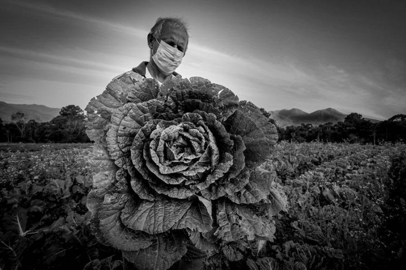 MIS-PR recebe exposição itinerante do 14º Prêmio New Holland de Fotojornalismo