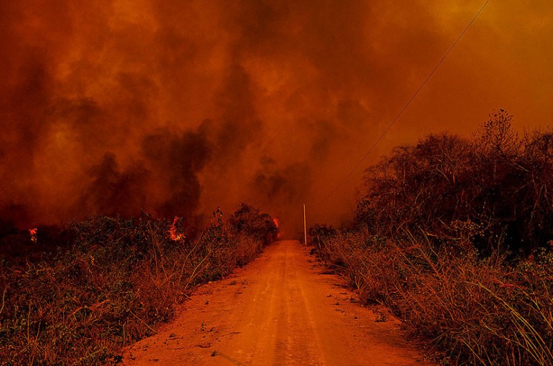 Proteção do Pantanal ganha subcomissão permanente no Senado