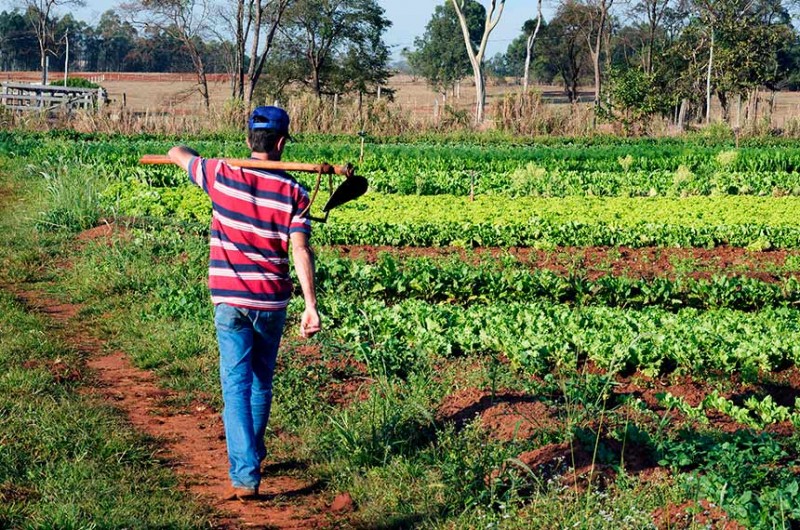 Comissão analisa projeto sobre rateio de recursos para agricultura familiar