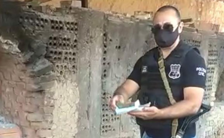 Em Colmeia, Polícia Civil incinera substâncias entorpecentes apreendidas na cidade