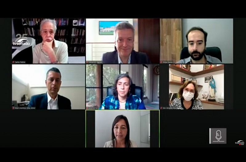 Especialistas pedem mais fiscalização e alertam para desmatamento e queimadas na Amazônia