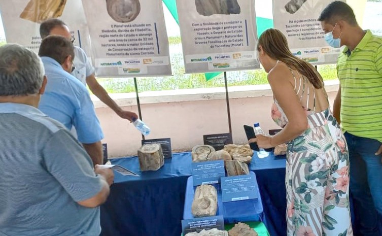 Exposição de fósseis vegetais do Monumento Natural de Árvores Fossilizadas do Tocantins marca programação do 73º aniversário de Filadélfia
