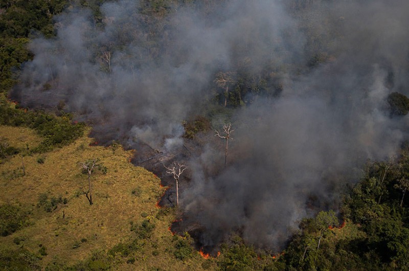 Em meio à COP26, Senado analisa projeto que adapta legislação ao Acordo de Paris