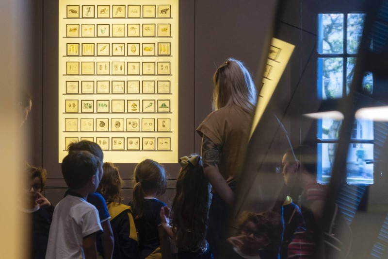 Museu Paranaense retoma visitas mediadas para grupos escolares