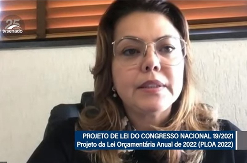 CMA aprova emendas de R$ 300 mi ao Ibama para prevenção e controle de incêndios florestais