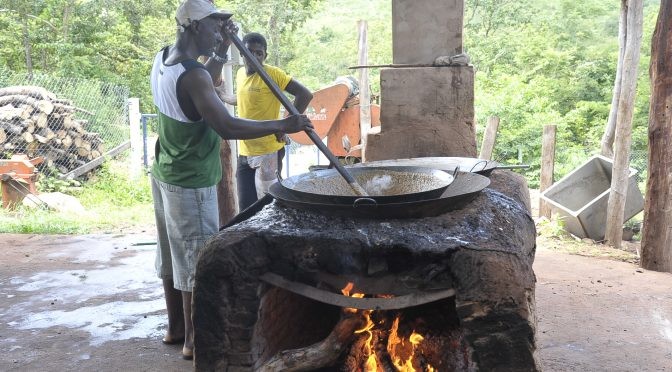 Fundação de Cultura apoia Sarau Cultural Consciência Negra em Furnas do Dionísio