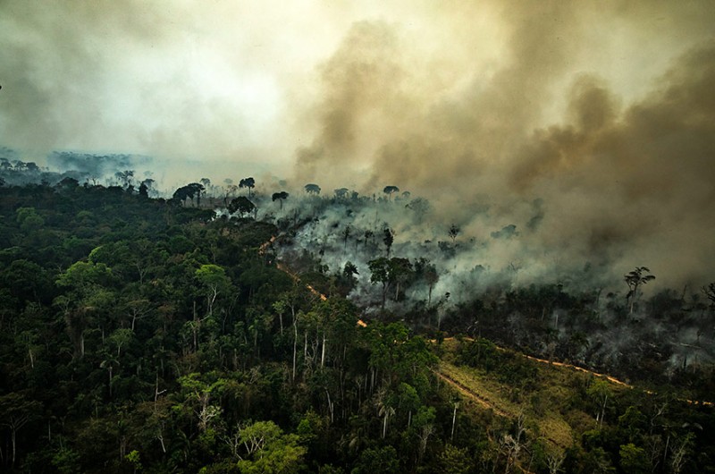 Grupo parlamentar discutirá na segunda-feira resultados da COP 26
